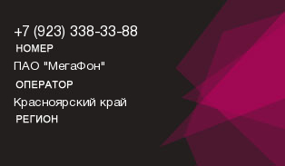 9233383388